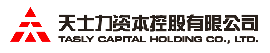 mgm集团资本控股有限公司